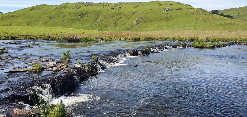 rio silveira1